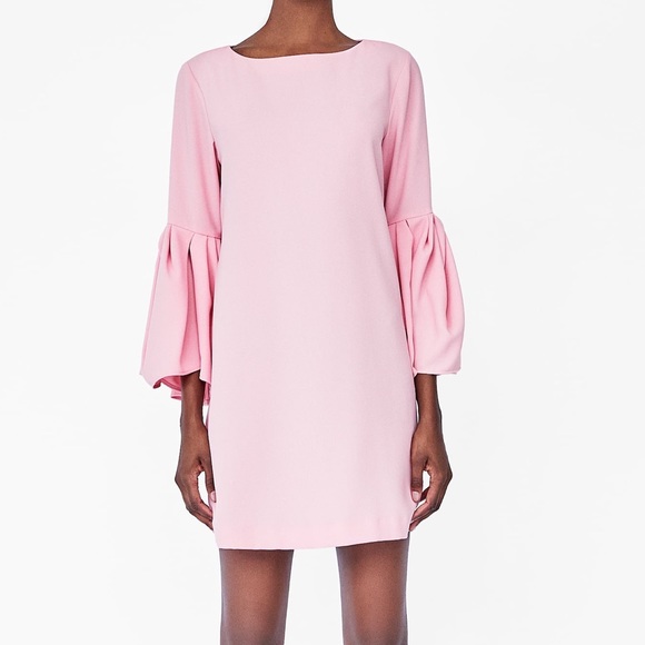Zara Pink Pleated Sleeves Dress - Picture 1 of 4